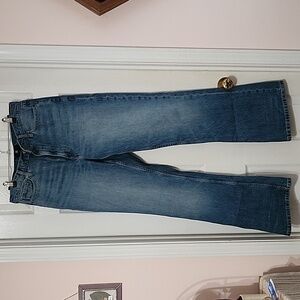 Banana Republic Wide leg Jeans 31L